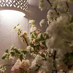 Pensionat Palazzinapulia 3*